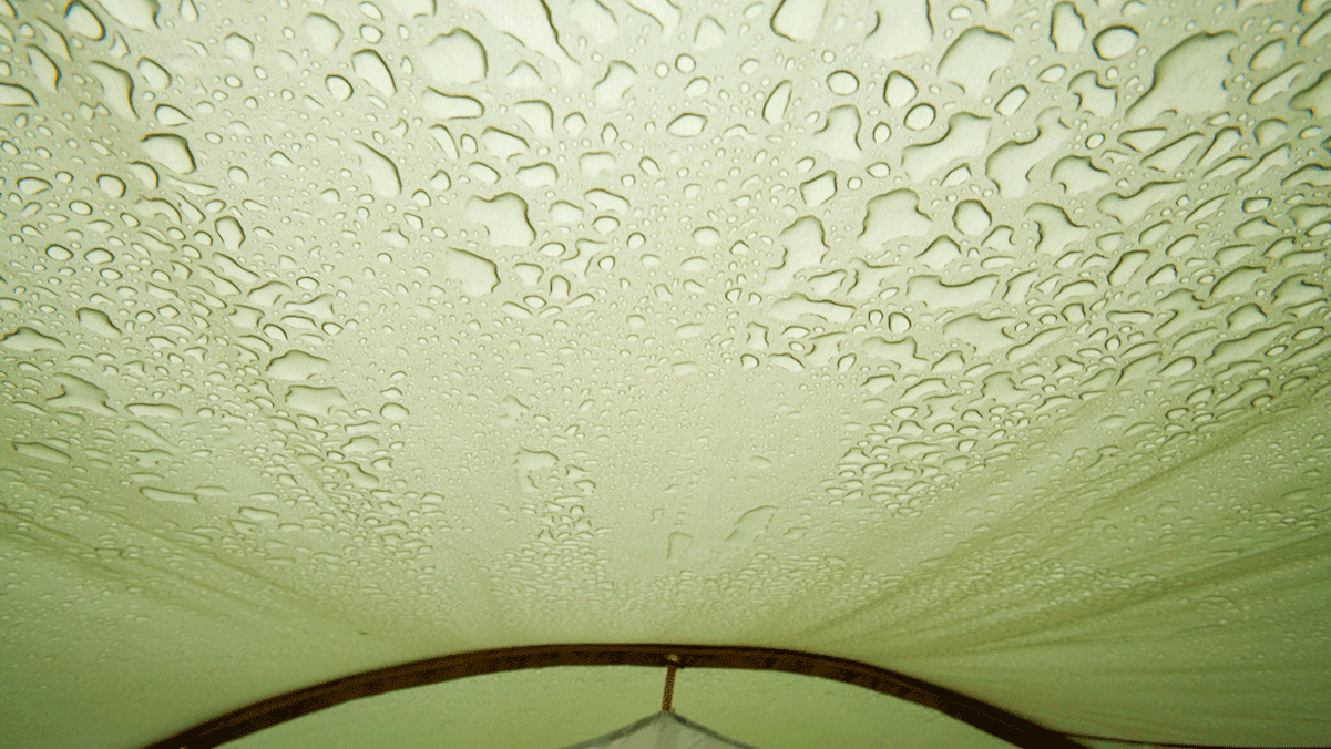 Regelmäßiges Lüften verhindert die Bildung von Kondenswasser im Zeltinneren