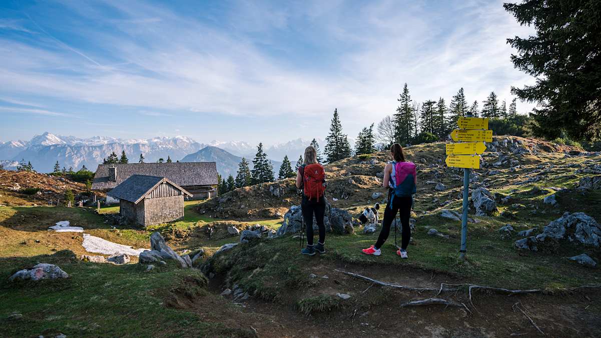 Grüne Almen und sanfte Voralpengipfel prägen die Landschaft um Inzell – ideales Gelände für Wanderer, Mountainbiker und Familien.Grüne Almen und sanfte Voralpengipfel prägen die Landschaft um Inzell – ideales Gelände für Wanderer, Mountainbiker und Familien.