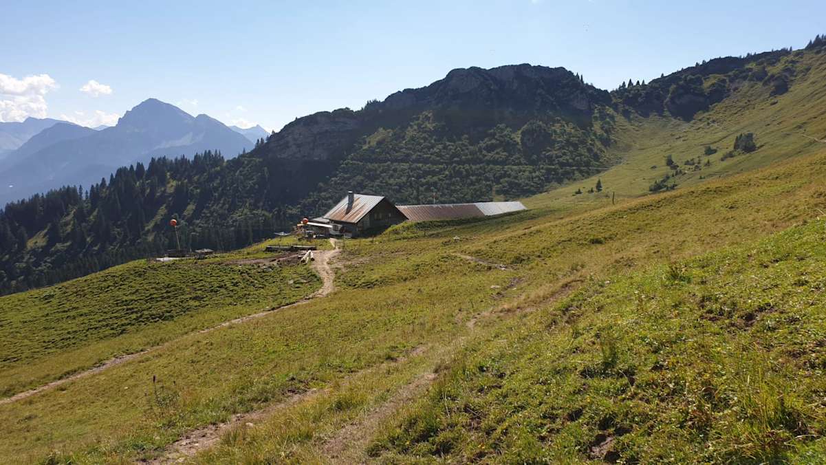 Die Lechaschauer Alm liegt auf 1.670 m