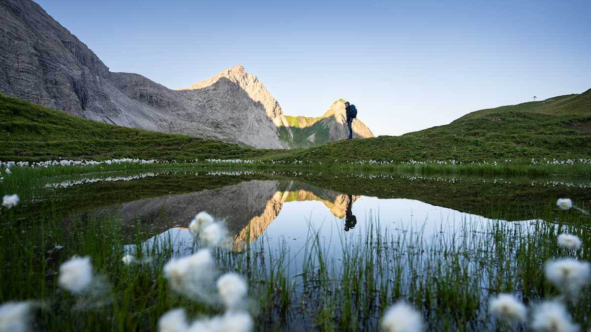 sommer in oberstdorf, berggipfel, wollgras am rappensee
