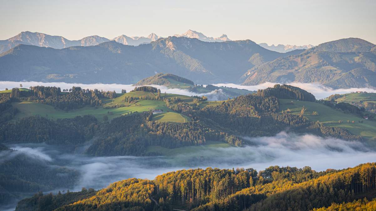Eine hügelige Landschaft vom Sonnenlicht erleuchtet. In den Tälern wabern Nebelschwaden, im Hintergrund eine graue Bergkulisse.