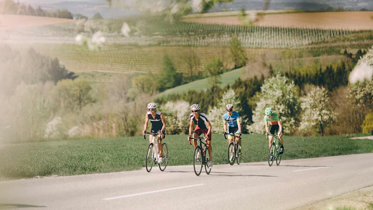 Vier Rennradfahrer fahren auf einer Straße im Wiegetritt, im Hintergrund sind Felder.