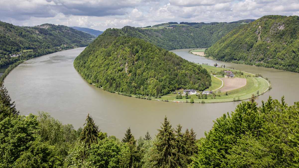 Die Donauschleife bei Schlögen