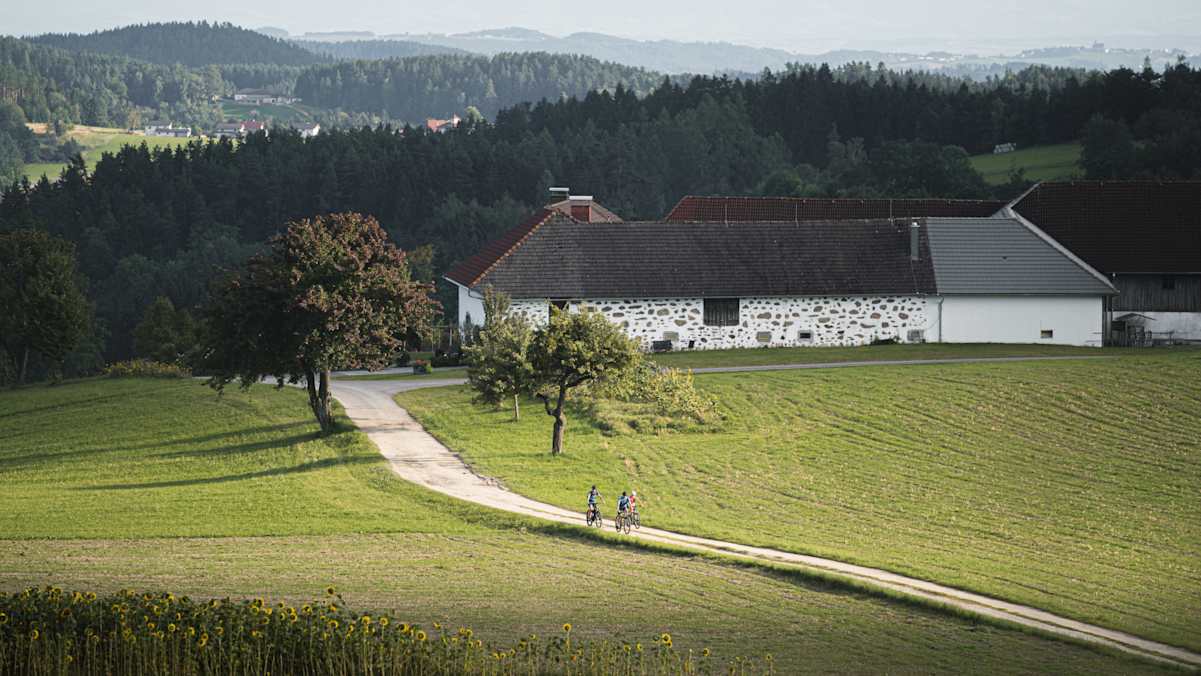 Drei Radfahrer treten auf einer asphaltierten Straße den Berg hinauf. Drumherum Weite und eine grüne Wiese. Im Hintergrund ein weißes Haus.