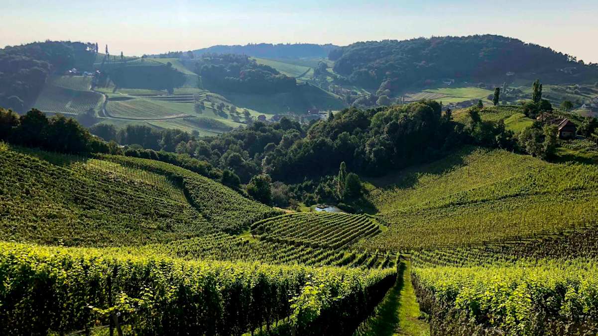 Immer wieder ergeben sich schöne Ausblicke über das Weinland