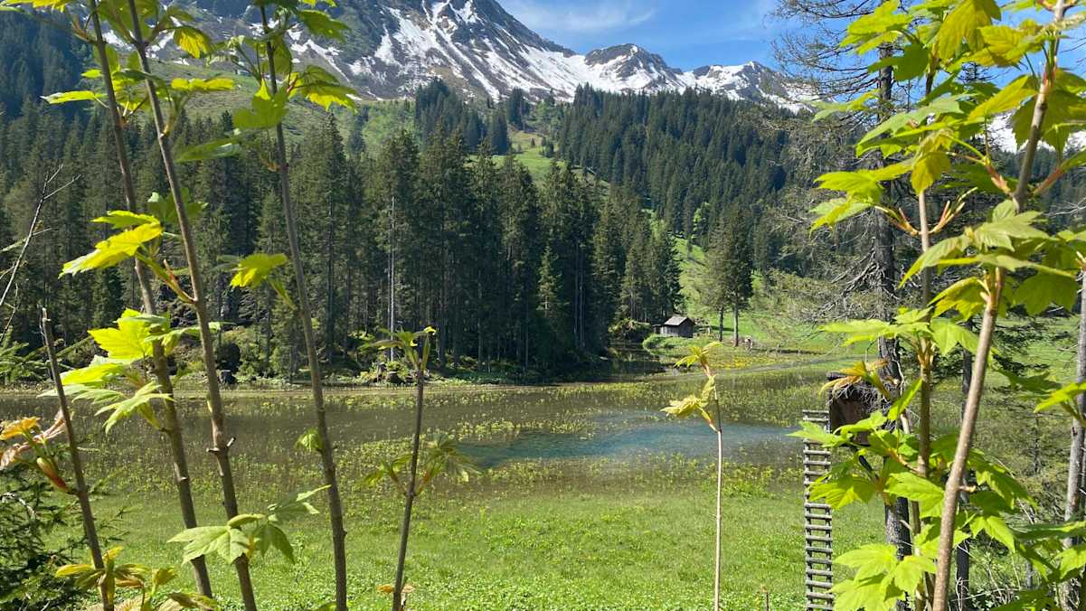 Die Melköde im Schwarzwassertal