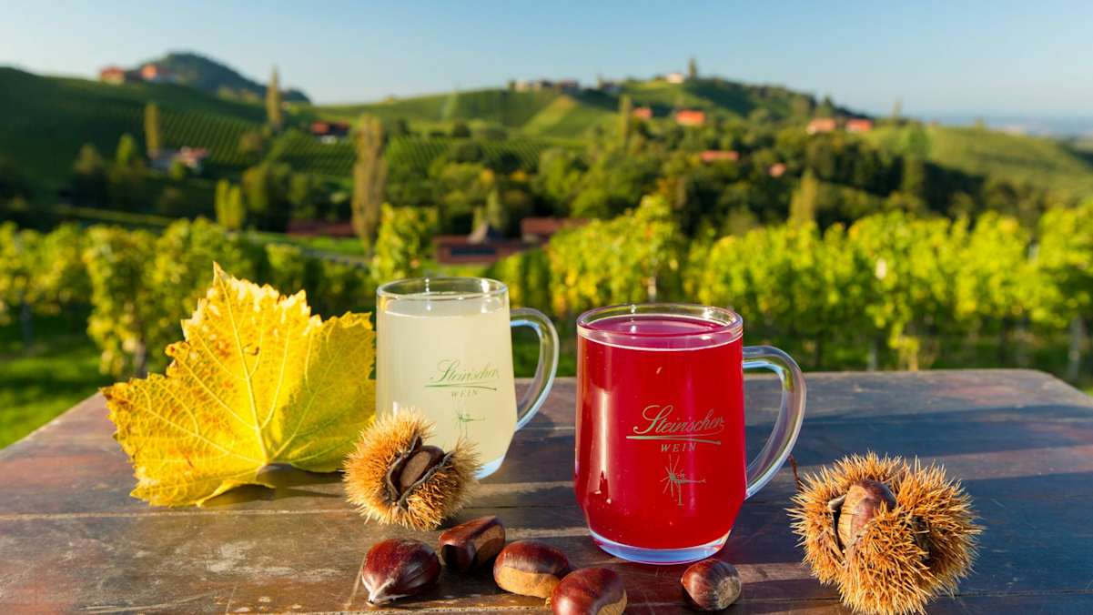 Auch die Kulinark kommt beim WEINwandern an der Südsteirischen Weinstraße nicht zu kurz