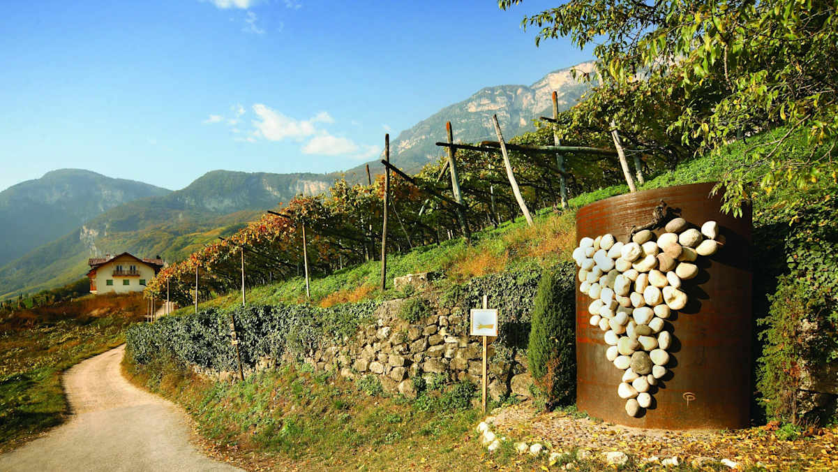 Kurtatscher Weinlehrpfad