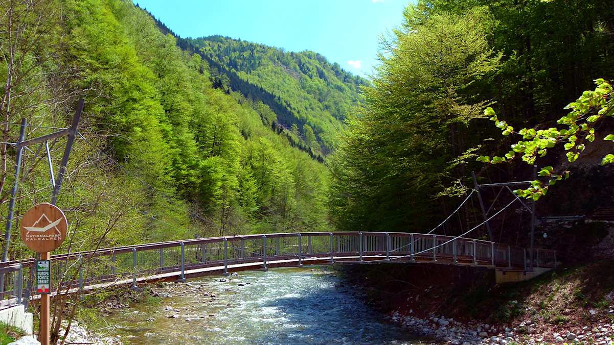 Hängebrücke Großer Bach