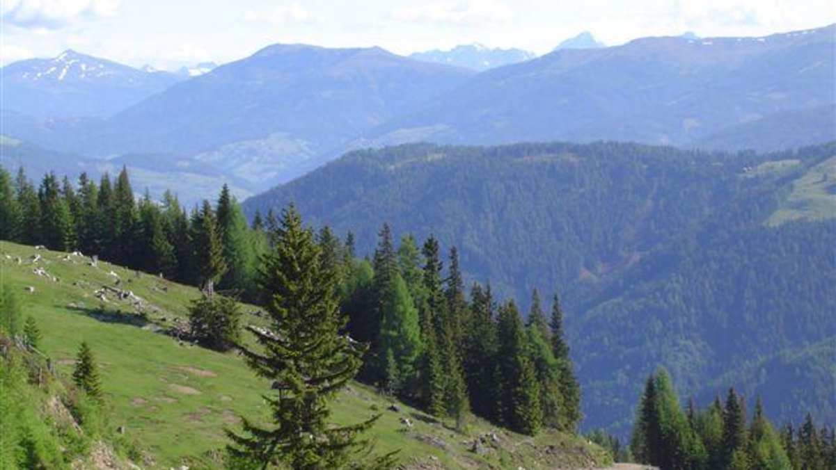 Weitblick in Richtung Gmünd