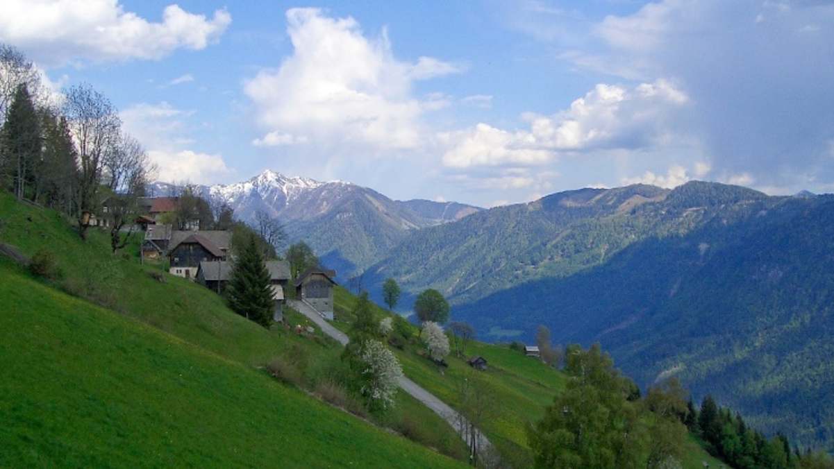 Berghöfewanderung Steinfeld - Blick zum Goldeck