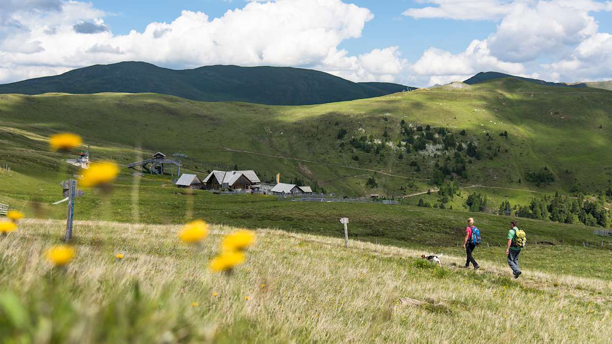 Saftige Almwiesen nahe der Blutigen Alm