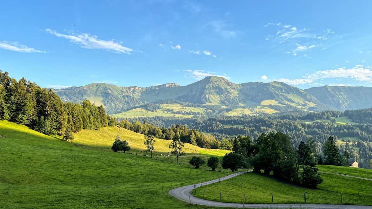 Hinterbergalpen mit Blick auf die Winterstaude