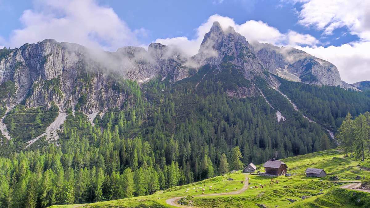 Kühwegeralm