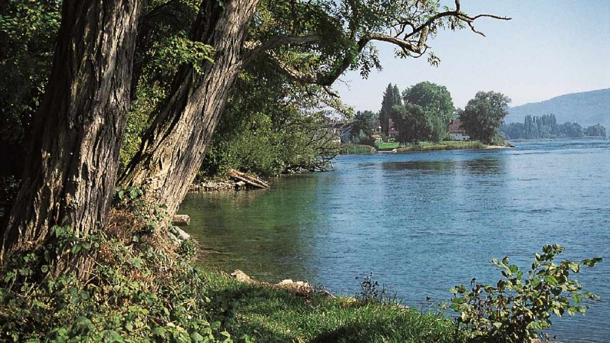 Bei Steigen verlässt der Hochrhein den Bodensee