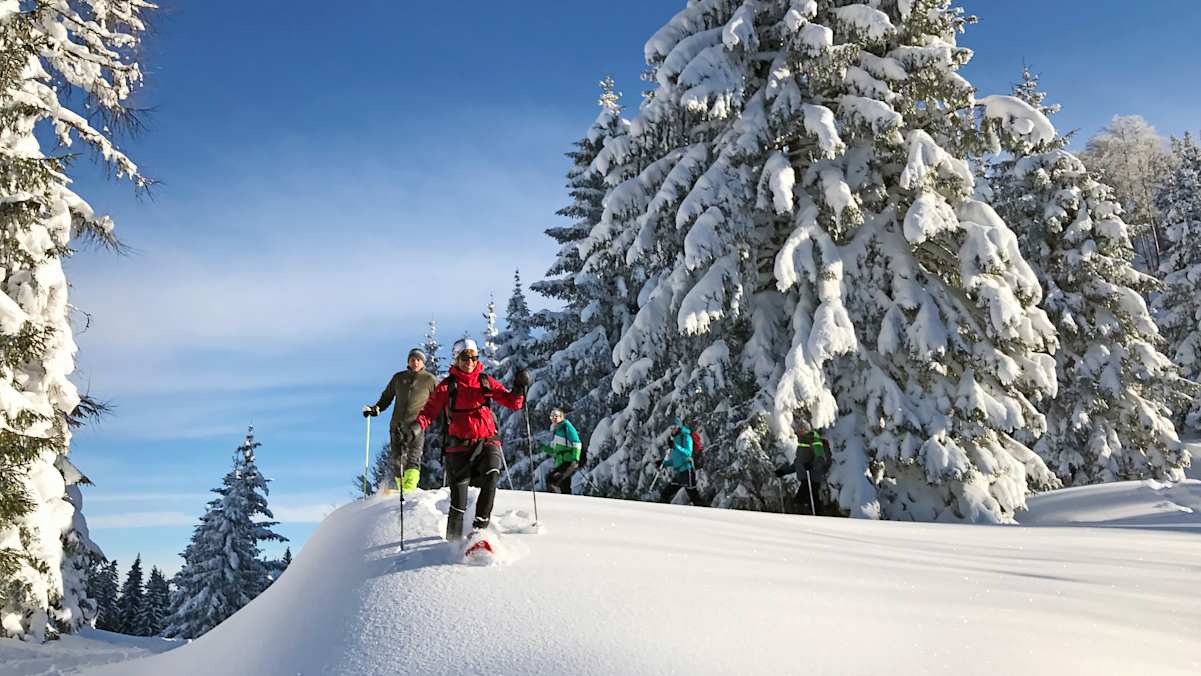 Schneeschuhwandern Hengstpass