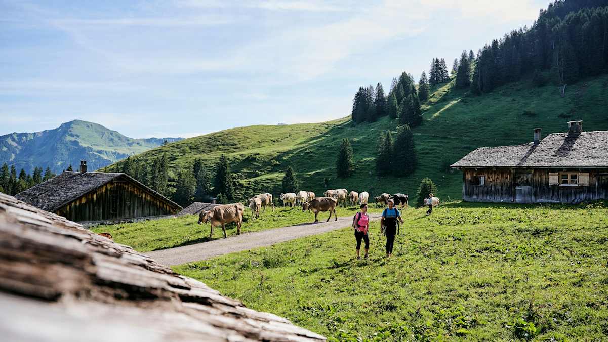 Auf dem Weg zur Alpe Steris