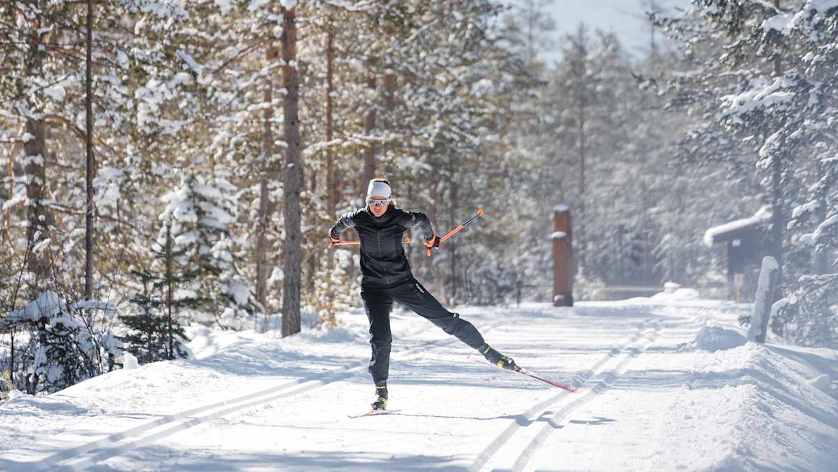 Durch den Wald bei der Langlaufarena Toblach