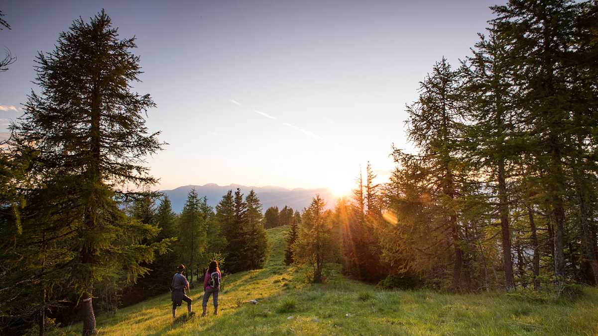 Unterwegs auf dem weichen Almboden der Hochrindl