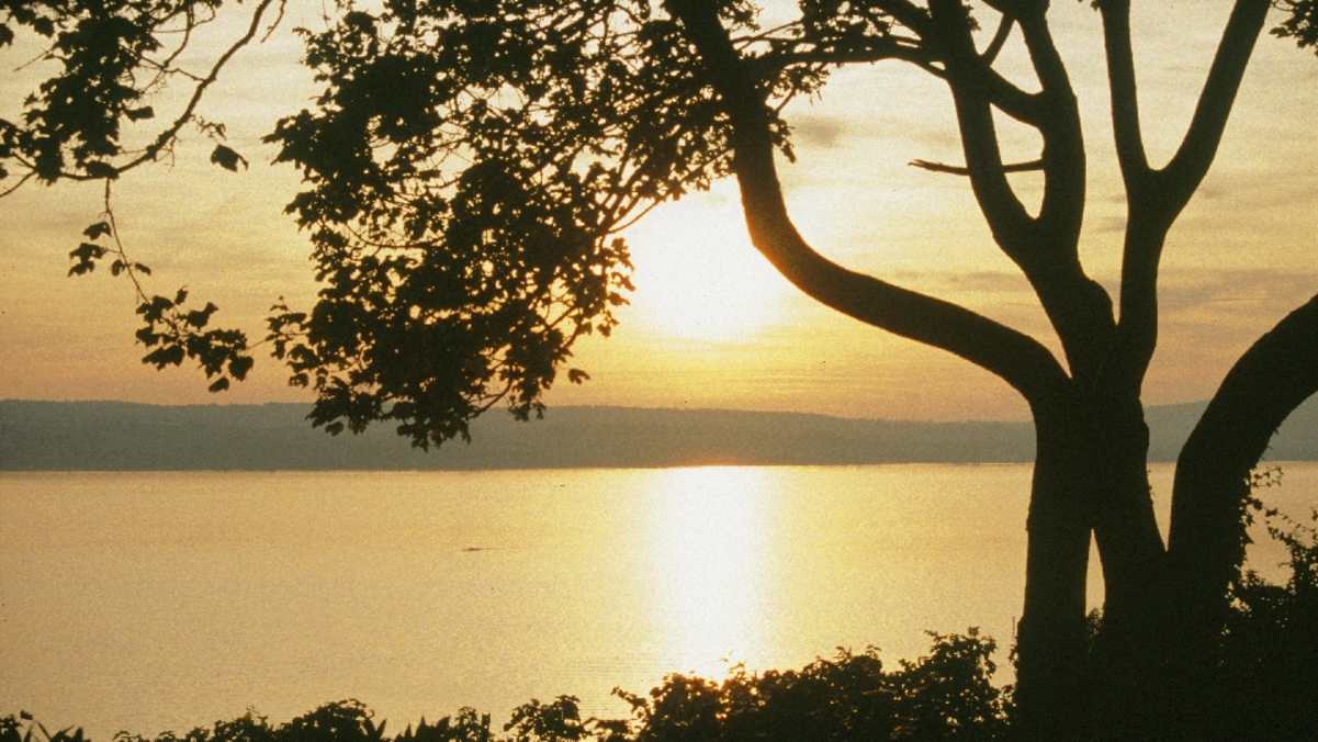 Nachdem wir auf dem geräumigen Vorplatz ein wenig Seestimmung getankt haben, gehen wir zurück zur Verzweigung am Waldrand.