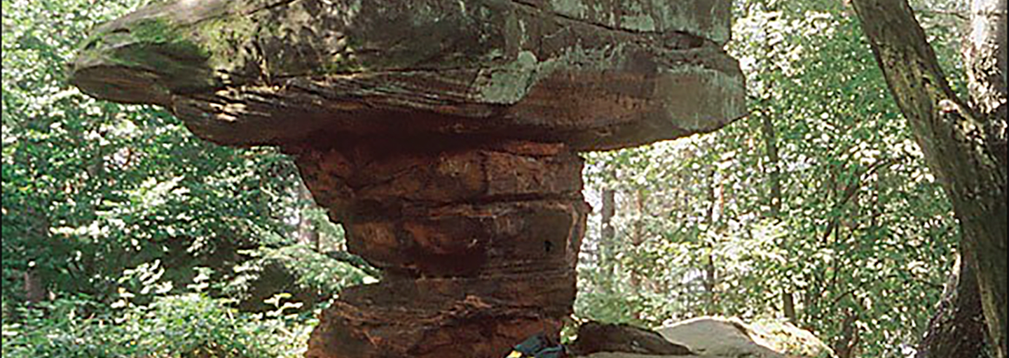 Der konditionell fordernde Wanderweg führt einen durch das Wunder Natur.