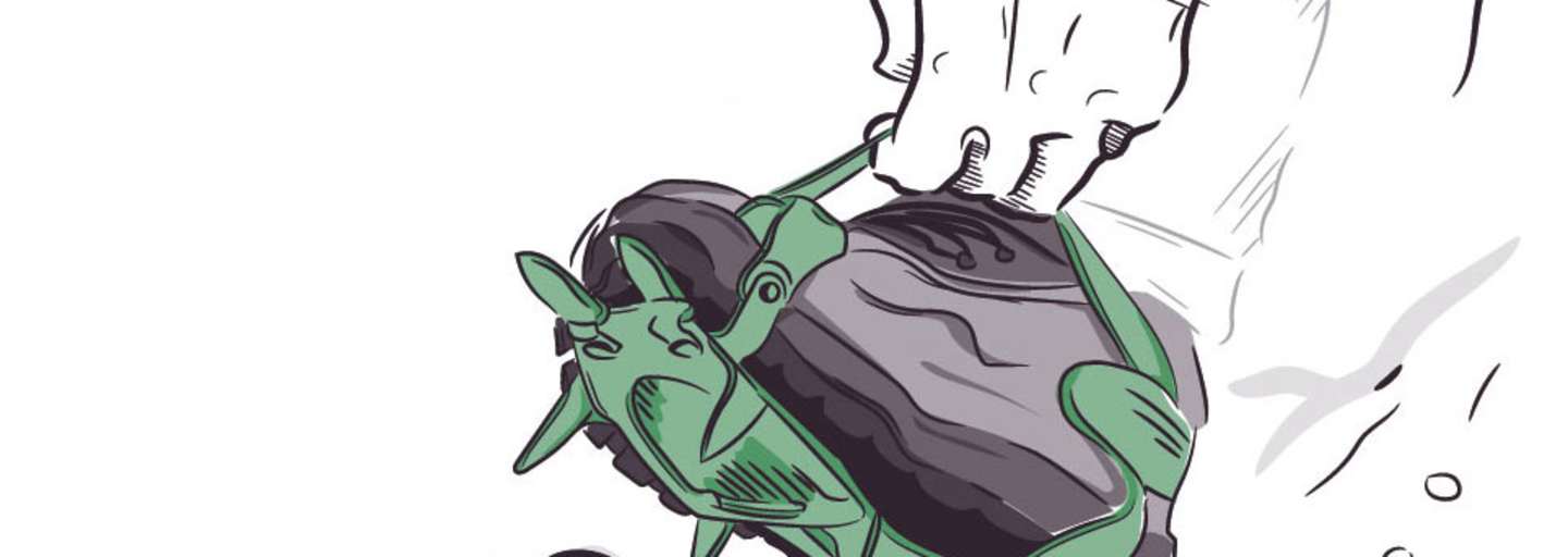 Richtig Gehen mit Steigeisen: Korrekt anpassen!