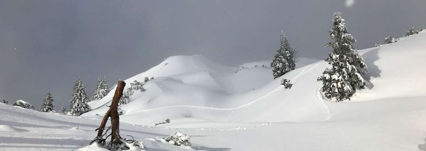 Winterlandschaft in Tirol: Tierspuren im Schnee