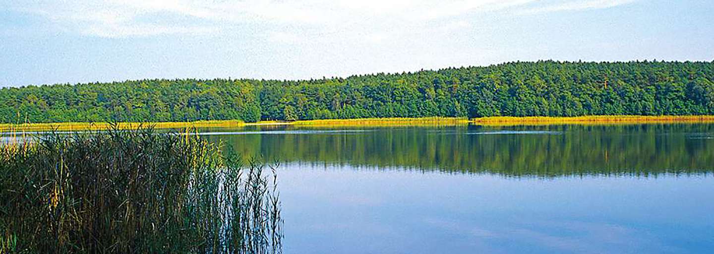 Eine aussichtsreiche Wald-Feldflurenwanderung.