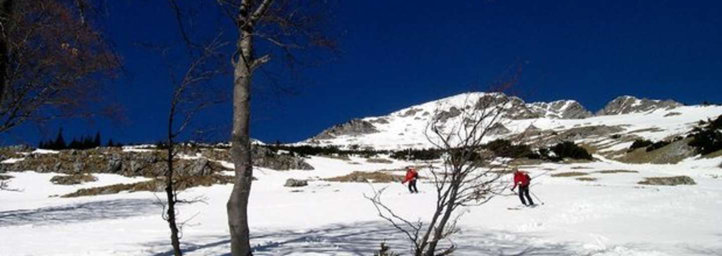 „Wurzleiten", Ybbstaler Alpen