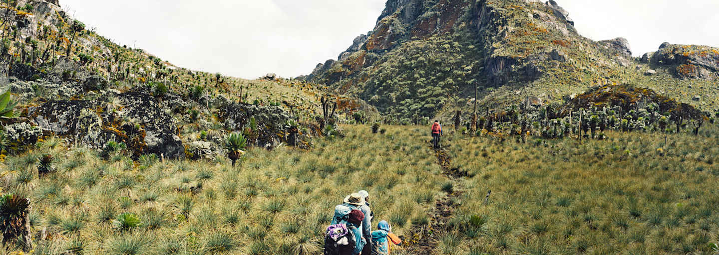 Auf dem Weg zum Gipfel des Regenmachers, dem Ruwenzori.