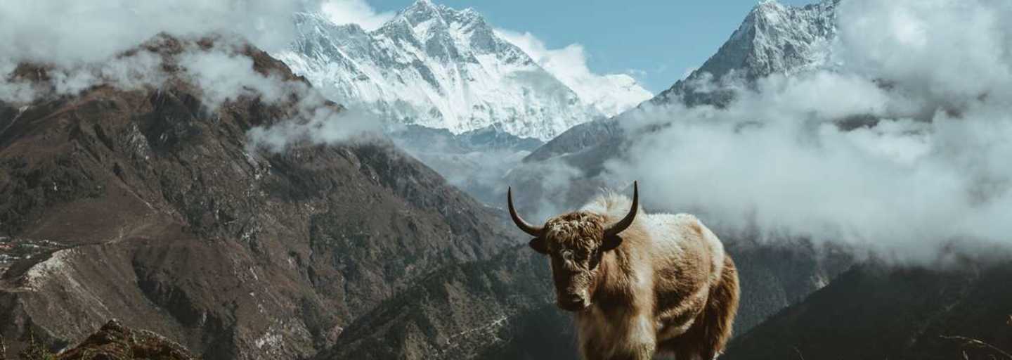 Trekking in Kathamndu