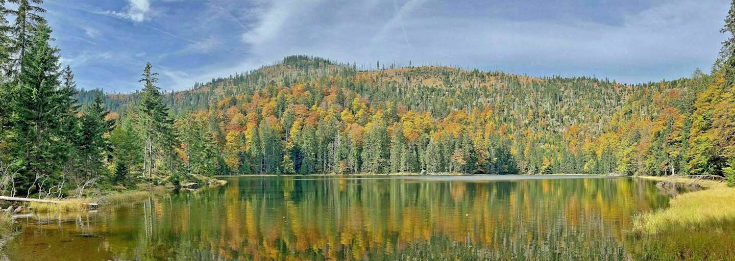 Der Rachelsee im Herbst