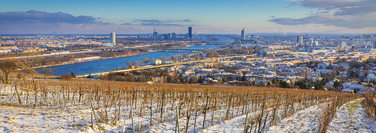 Blick über Wien