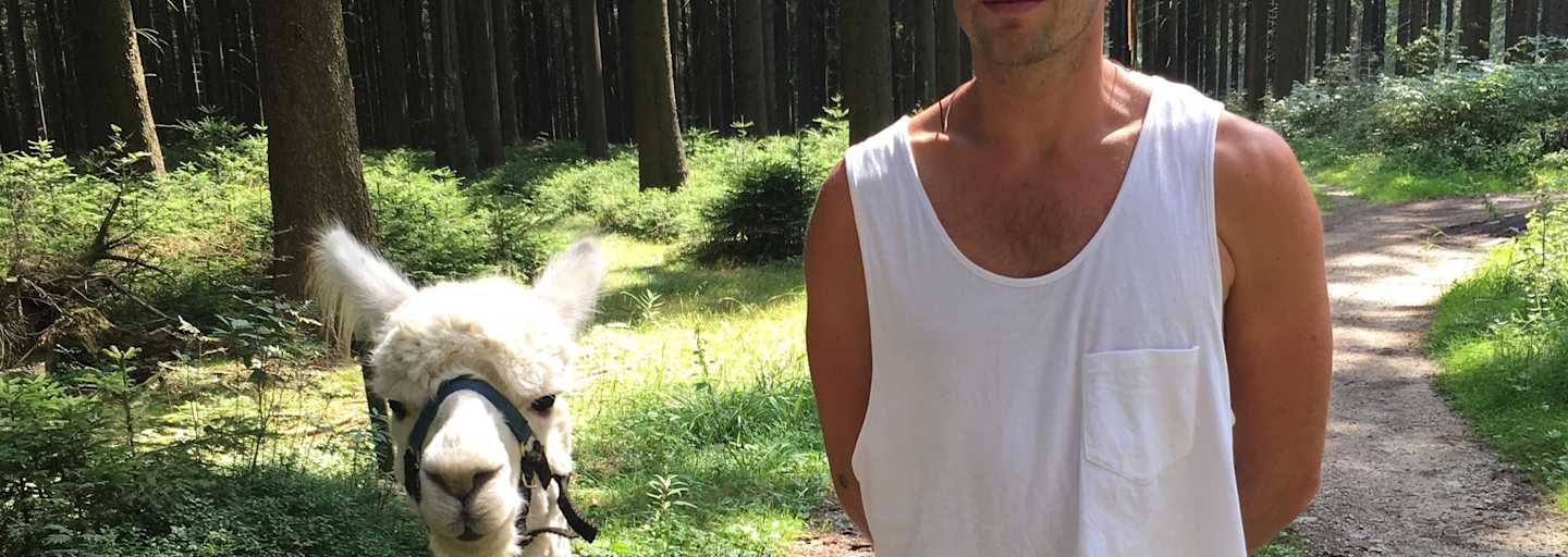 Alpaka Wandern