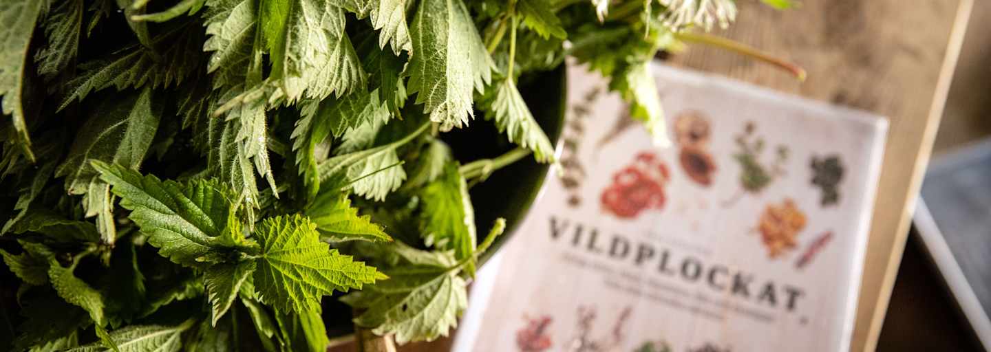 Camping Rezepte Brennnessel