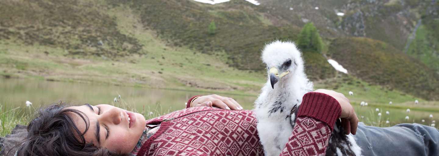 Film: Wie Brüder im Wind