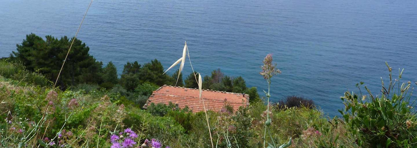 Im Frühling ist eine Wanderung in Cinque Terre besonders empfehlenswert