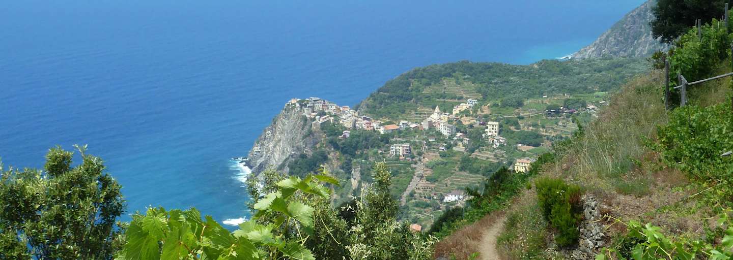 Cinque Terre - Blick aufs Meer