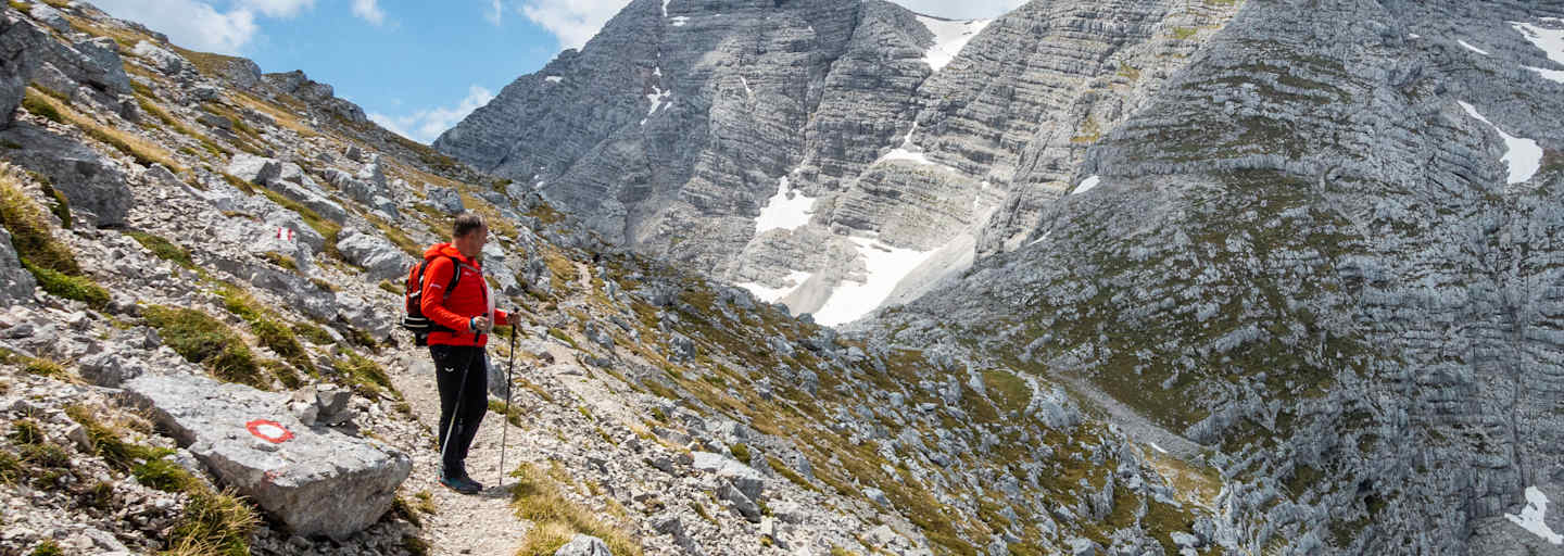Wanderer mit Warscheneck im Toten Gerbirge