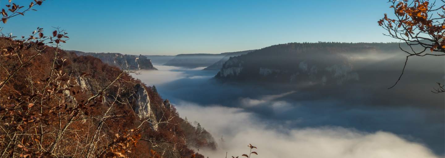 Donauwelle Wanderweg