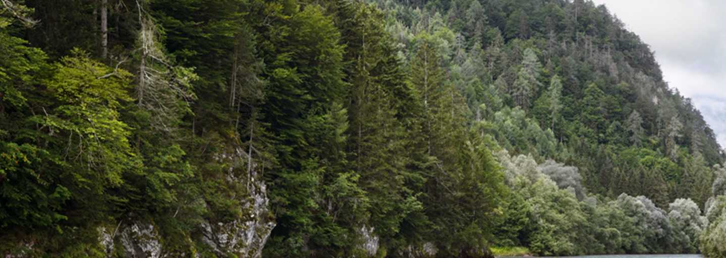 Kanufahren auf der Drau