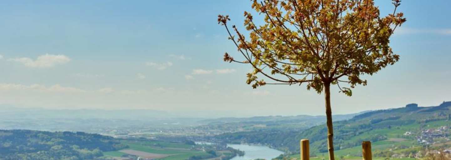 Ausblick von Klostergarten in Maria Taferl auf Donau und Nibelungengau