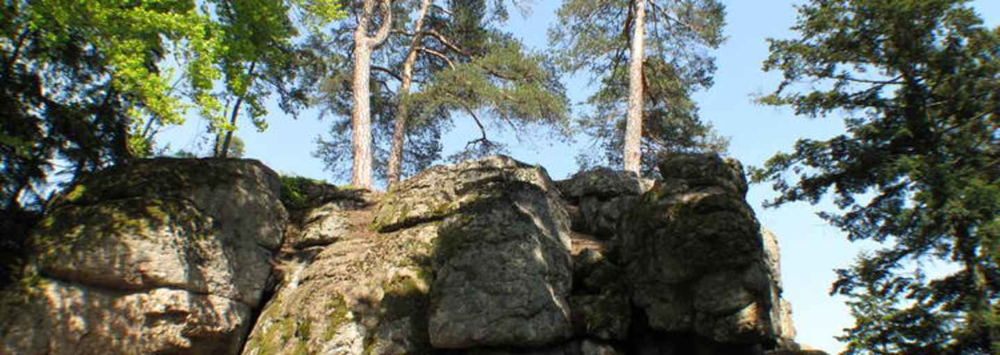 Die Natur am Kühstein im Böhmerwald erleben.