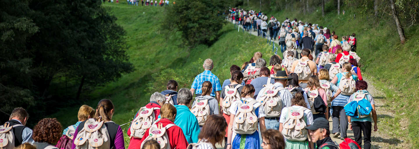 Zurück zum Ursprung: Gemeinsam Wandern im mystischen Mühlviertel