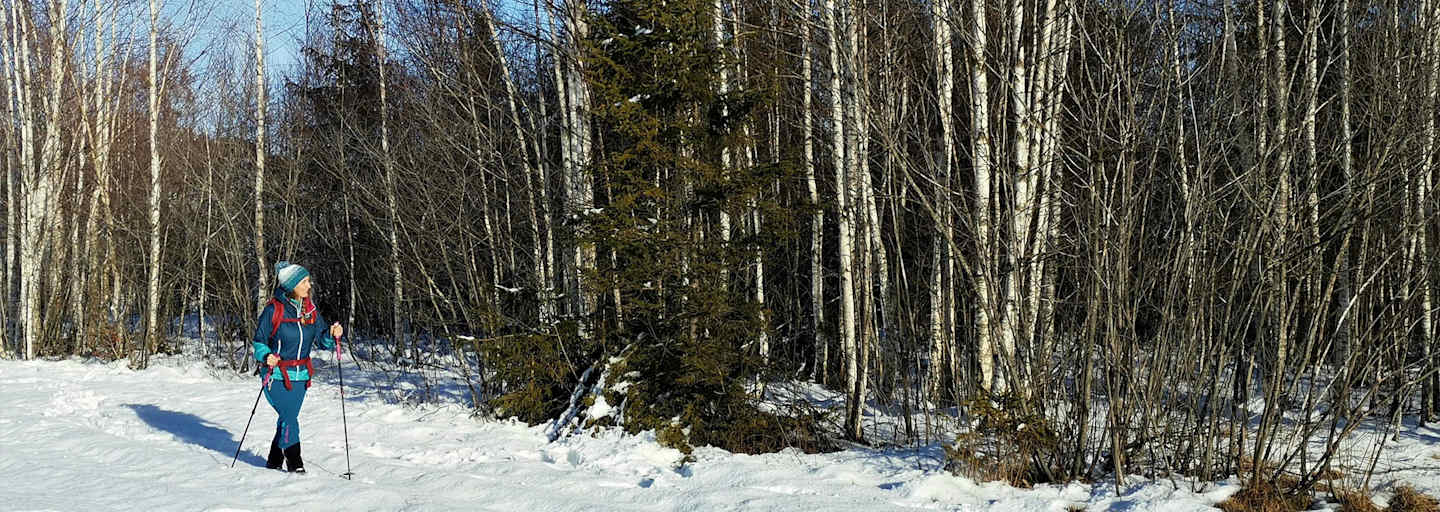 Winterwandern in der schneebedeckten Landschaft im Salzburger Pongau