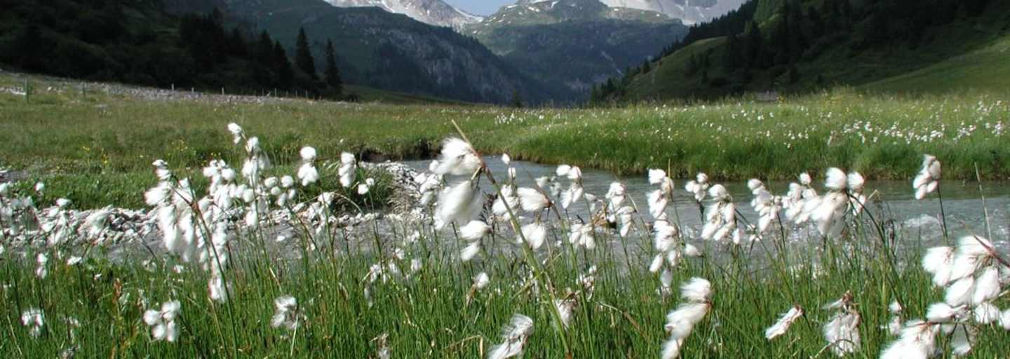 Wandern im Naturpark Riedingtal
