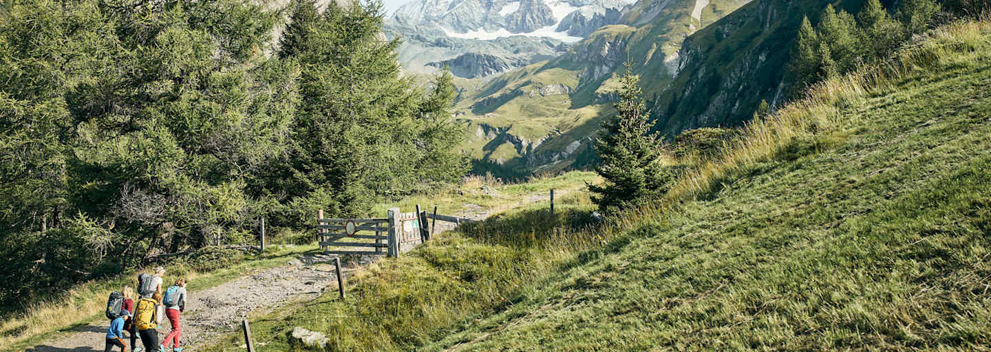 Vom Osttiroler Ködnitztal hat man einen besonders schönen Blick auf den 3.798 Meter hohen Großglockner.