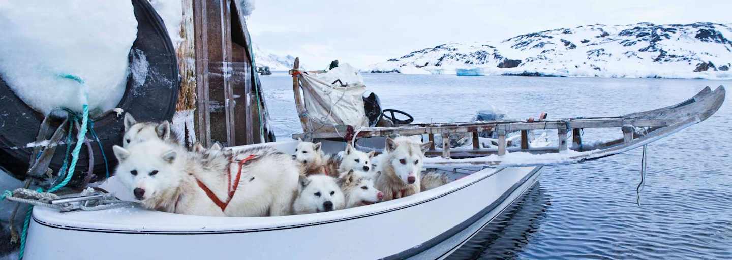 Boot in Grönland