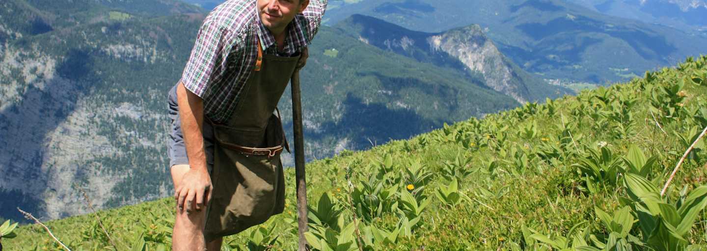 Heimatleuchten: Almleben 