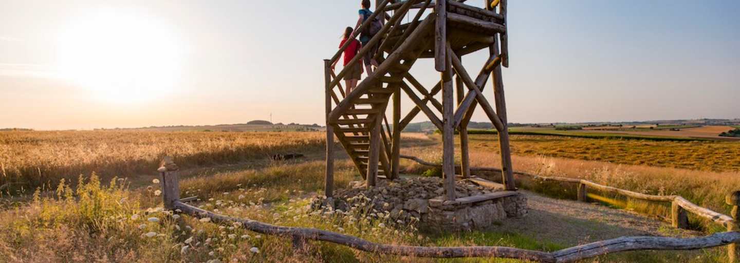 Der Aussichtsturm am Hirnberg 
